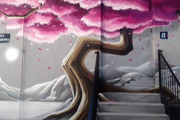 croix-rousse street art